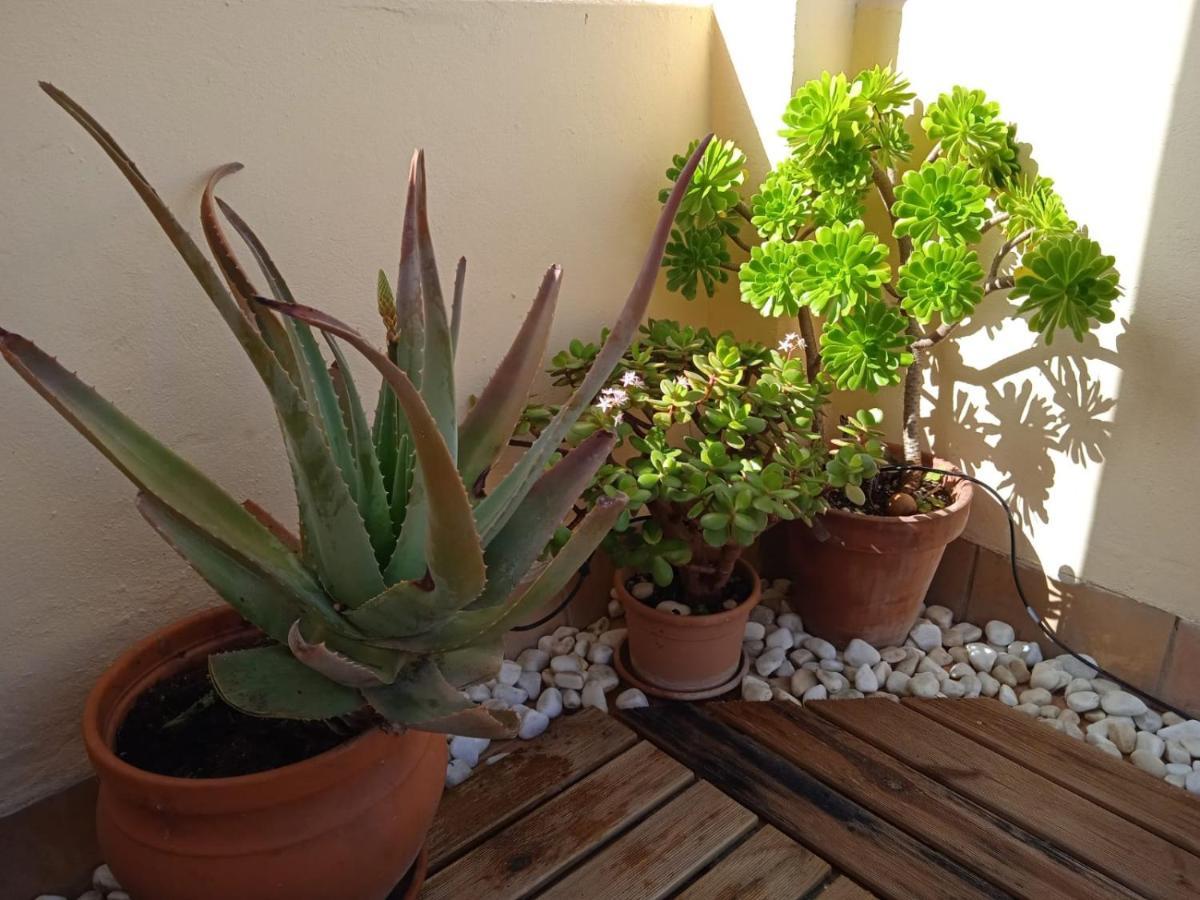 Livingtarifa Apartamento Nano Bagian luar foto