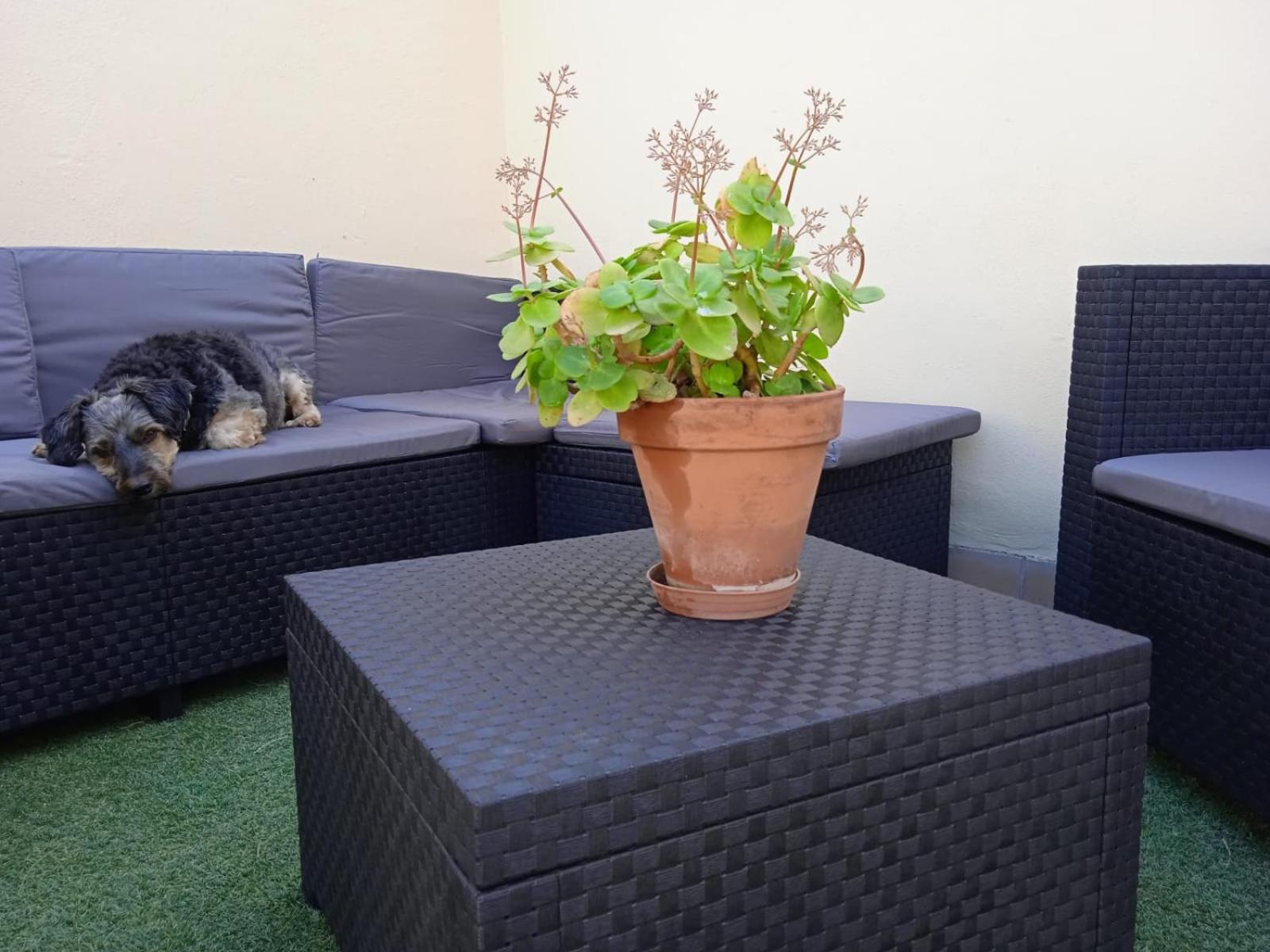 Livingtarifa Apartamento Nano Bagian luar foto