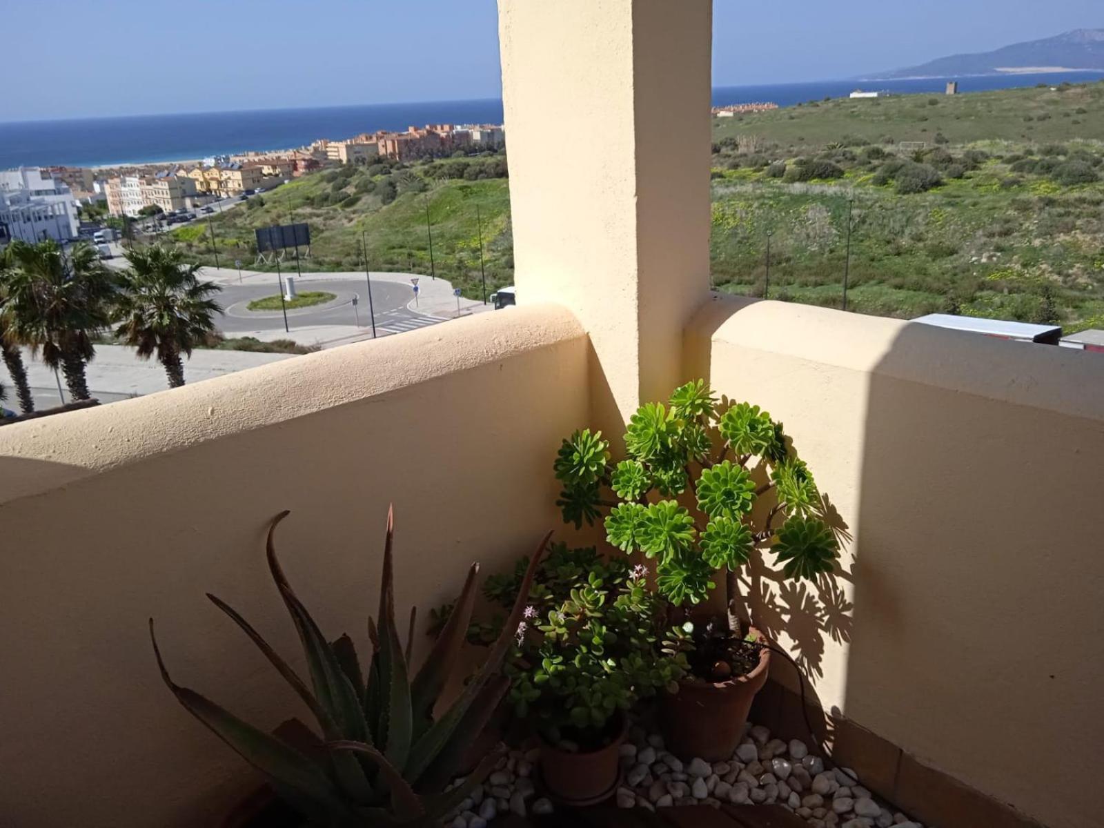 Livingtarifa Apartamento Nano Bagian luar foto